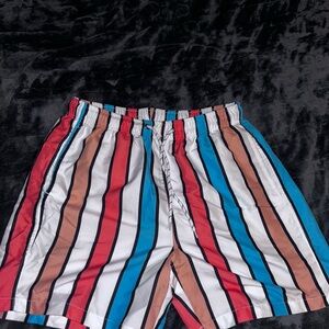 Striped Multicolor Shorts